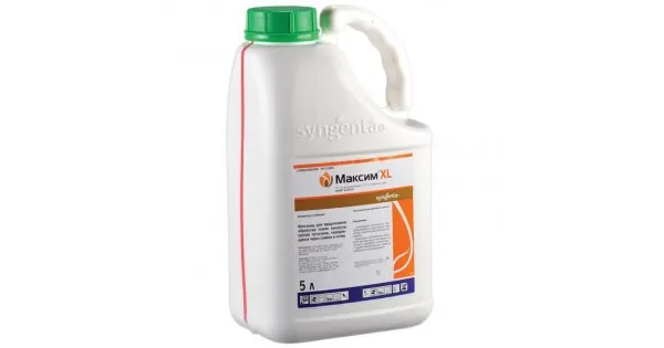 Максим XL